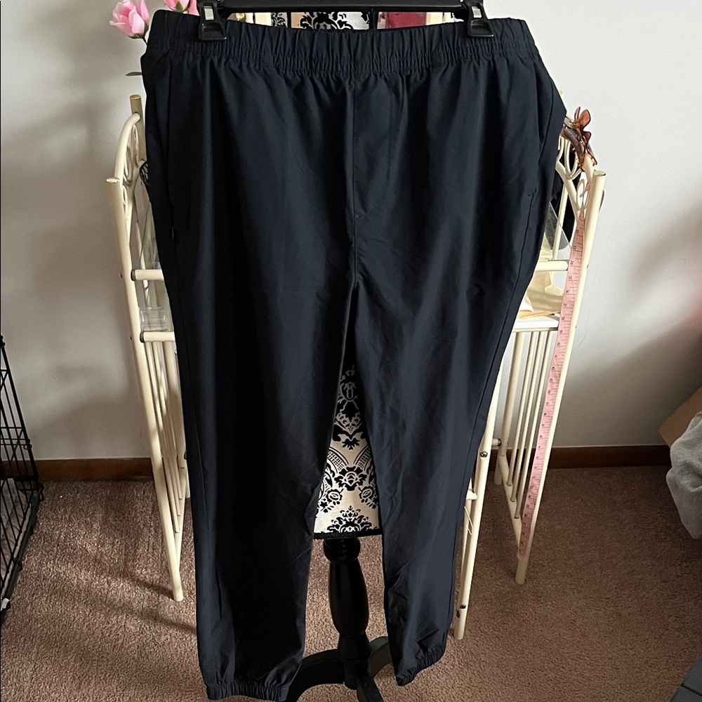 Banana Republic Navy Jogger Pants